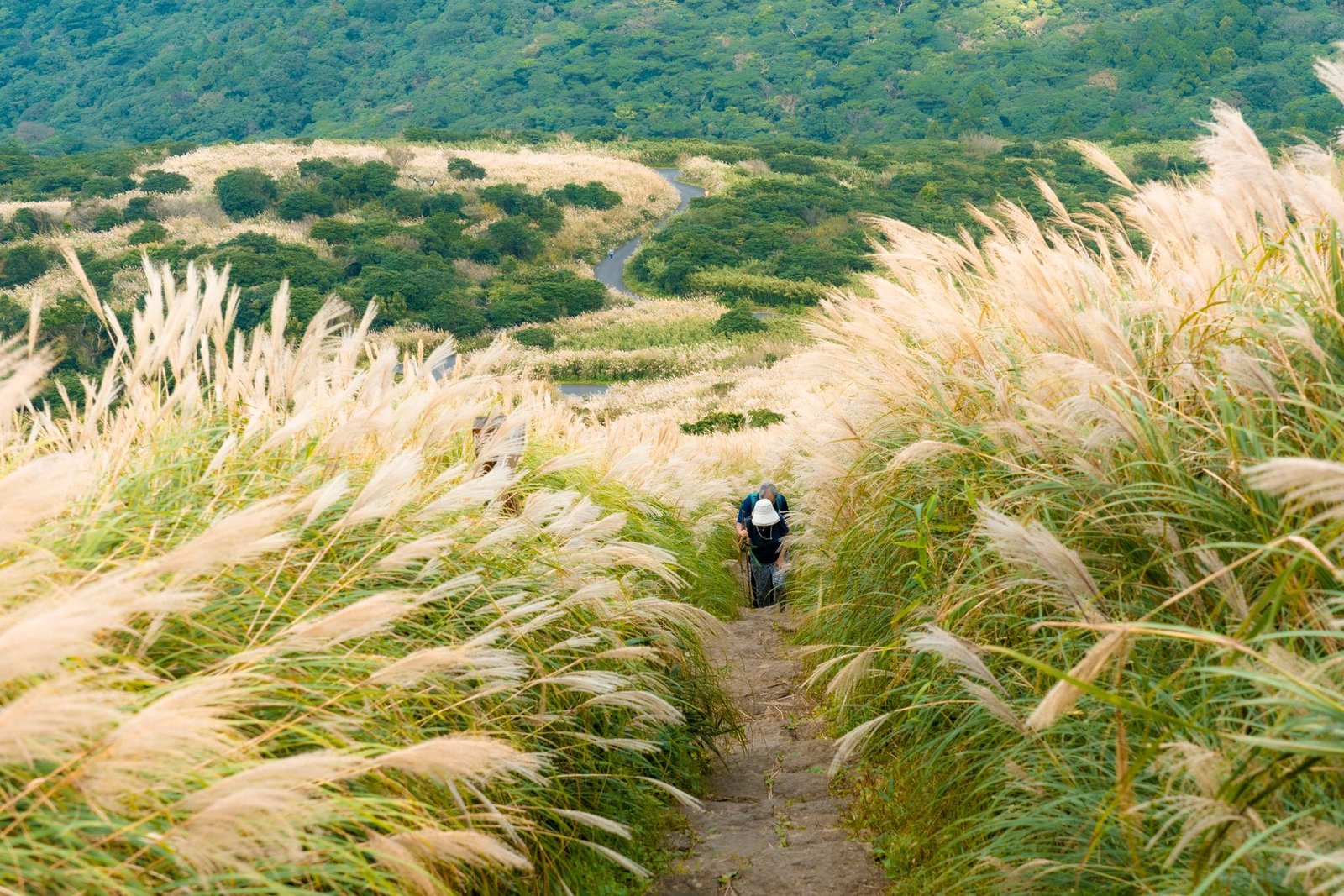Hikers walking a trail through tall grass, the kind of environment where chigger bites happen