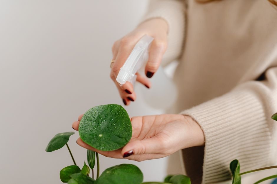 Hand holding a spray bottle applicator