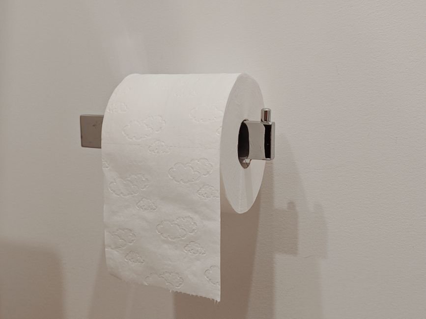 Bathroom toilet paper holder next to a wipes dispenser